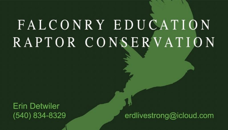 Falconry Education Raptor Conservation, Erin Detwiler (540)834-8329